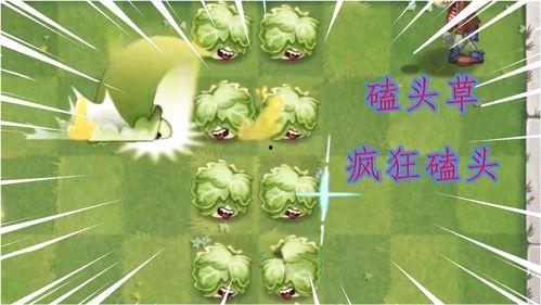 新植物预告爆料视频播放,神秘植物即将亮相，带你领略自然之美  第2张