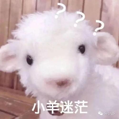 小羊爆料视频下载安装,轻松获取热门内容  第2张